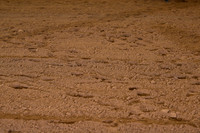 AJB_2458