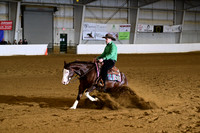 Green Reiner
