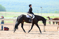 AJB_6433