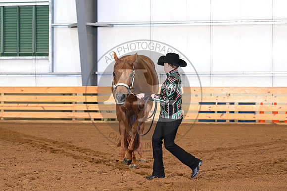 AJB_0229