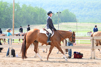 AJB_6429