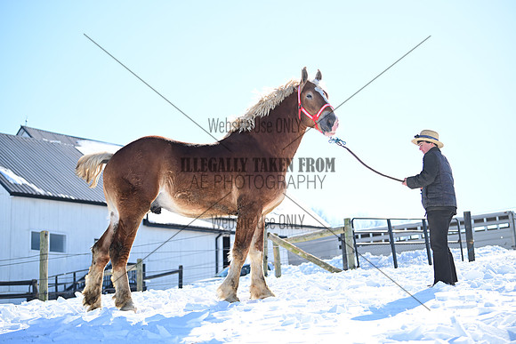 file_177577394176
