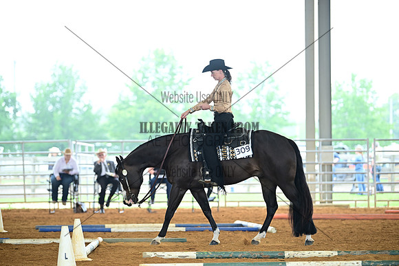 AJB_0736