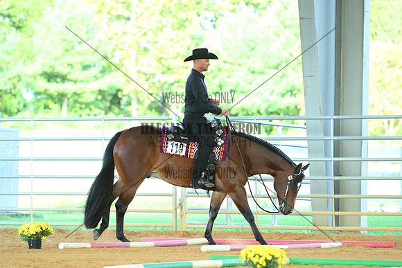 AJB_2272