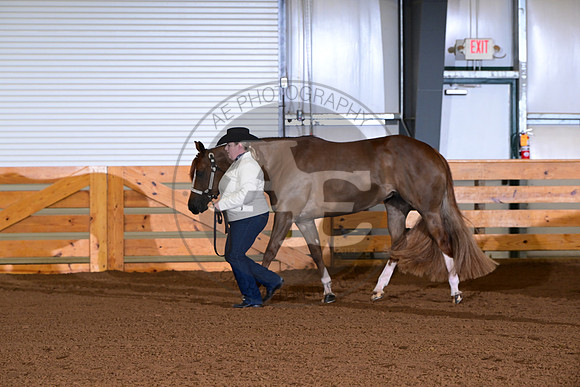 AJB_0048