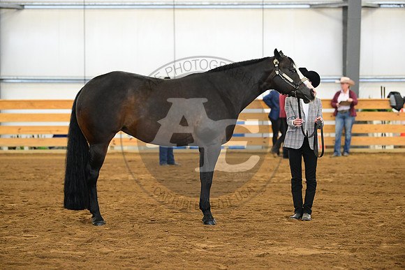 AJB_1916