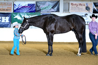 AJB_9035