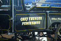 Gray Thunder Percherons