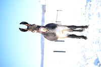 file_176858161152