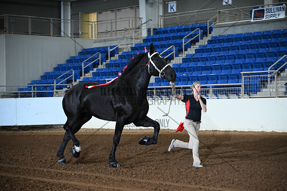 AJB_4802