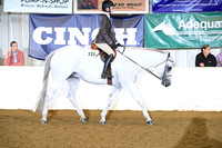 AJB_8588