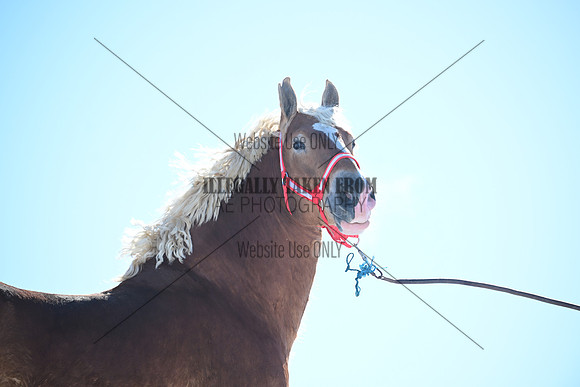 file_177598365696