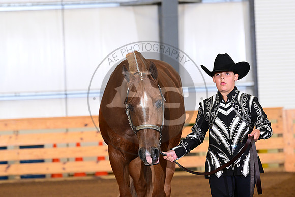 AJB_0194