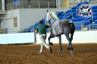 AJB_4880