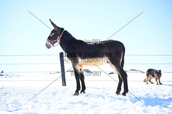 file_176970372608
