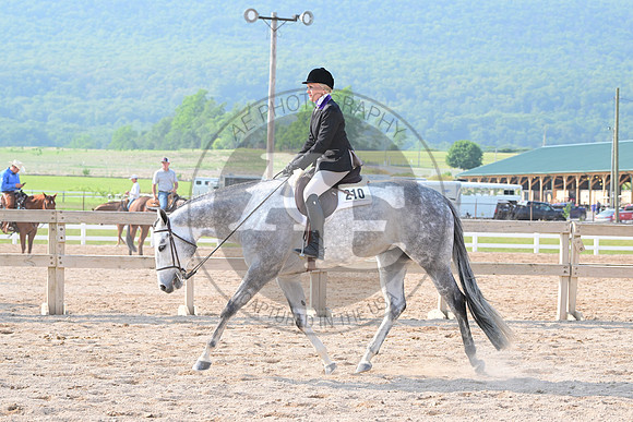 AJB_6795