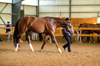 AJB_0963