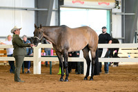 AJB_5918