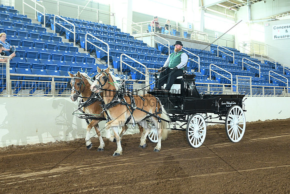 AJB_5245