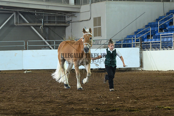AJB_7552