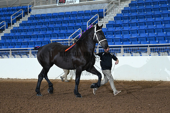 AJB_4805