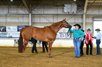 AJB_2008
