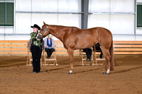 AJB_0952