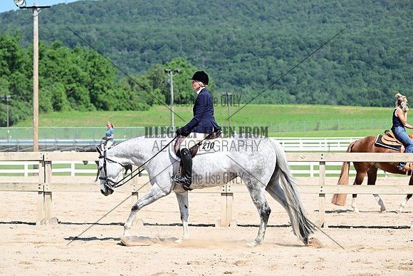 AJB_6962