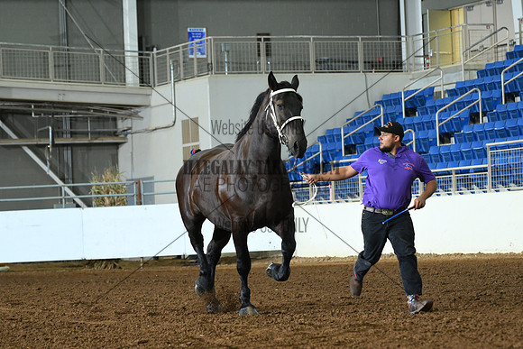 AJB_4828