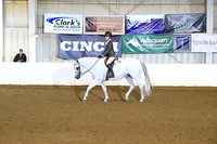 13. Level 1 YTH Equitation 13 & Under