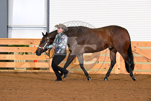 AJB_0217