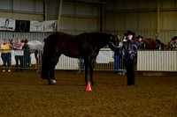 1. Level 1 Amateur Showmanship
