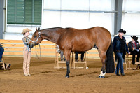 AJB_1463