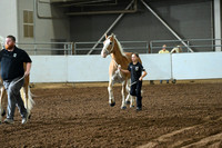 AJB_4844