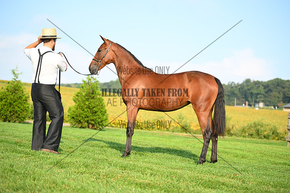 AJB_0690