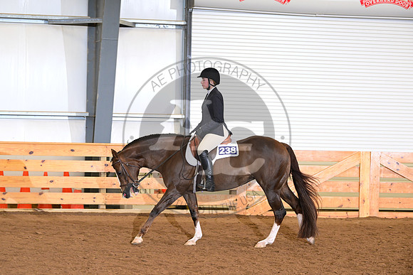 AJB_0936