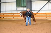 17. Two Year Old Mares