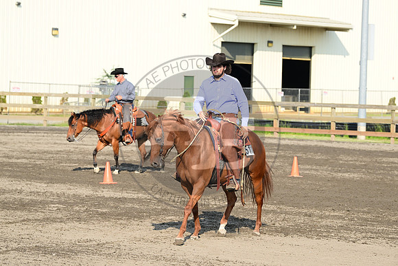 AJB_8364