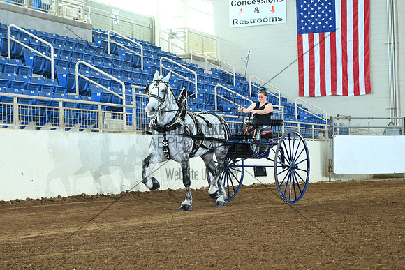 AJB_6754