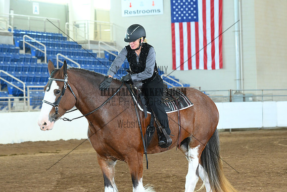 AJB_8265