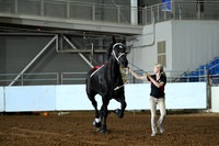 AJB_4817