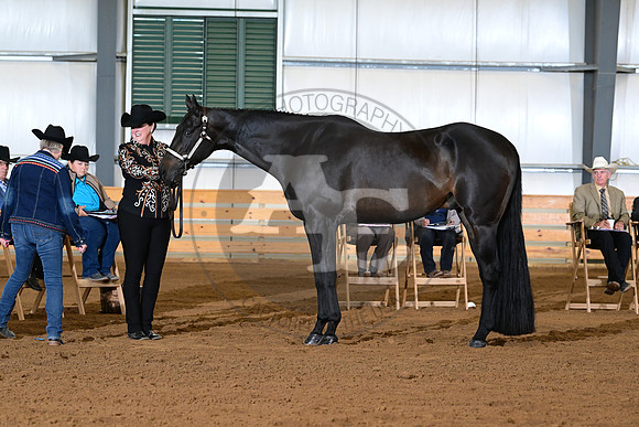 AJB_0961