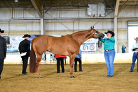 AJB_2010