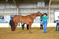 AJB_2012