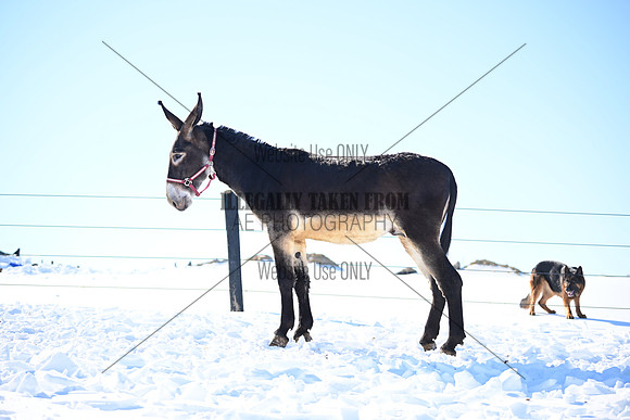 file_176987150848