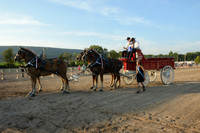Four Horse Hitch_Amateur_youth-19