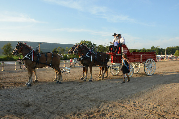 Four Horse Hitch_Amateur_youth-19