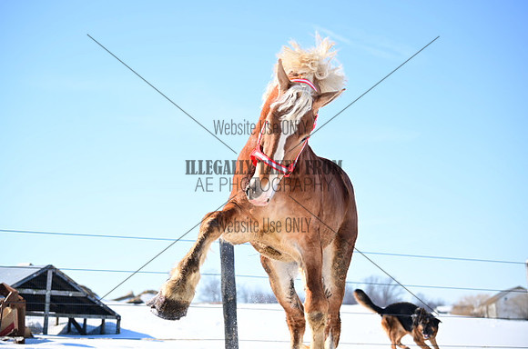 file_177254892032