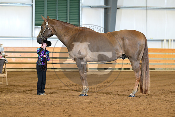 AJB_1627