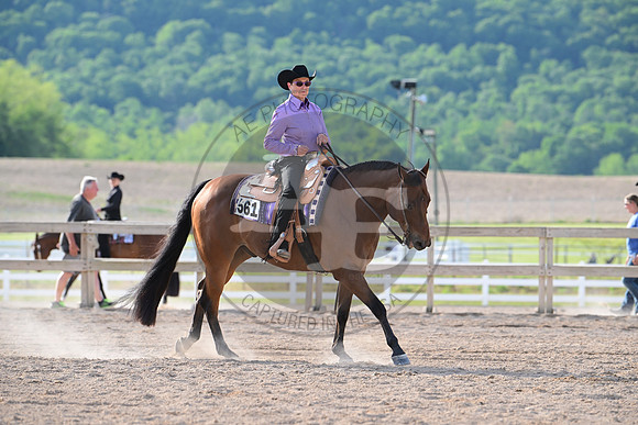 AJB_0099